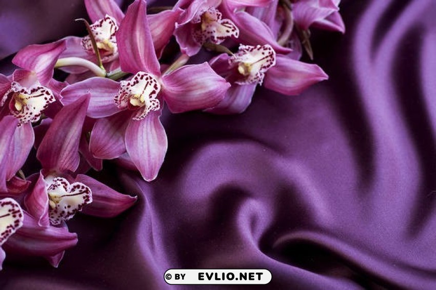 satin with orchids Clear Background PNG Isolated Design