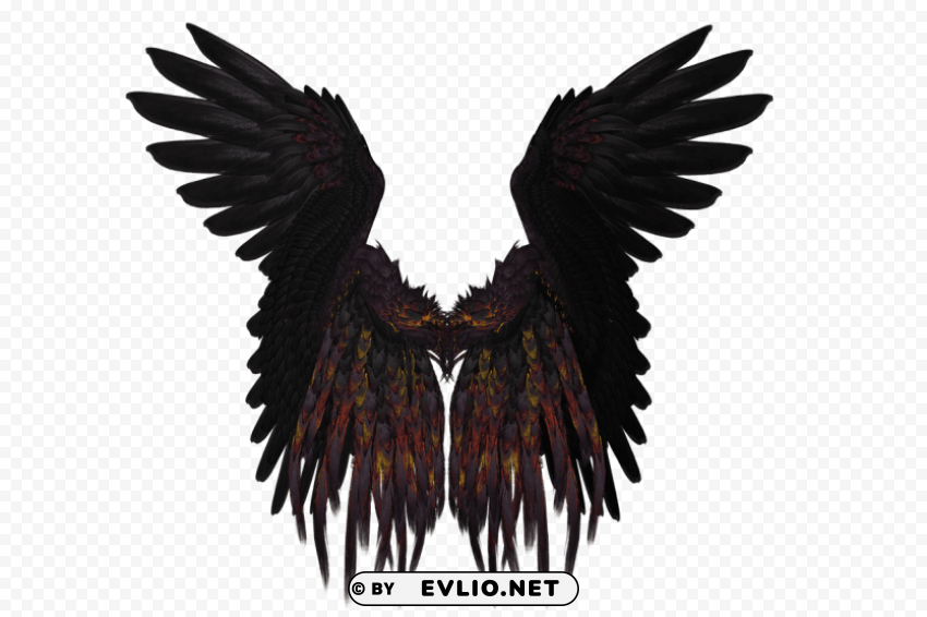 short black purple wings PNG with Transparency and Isolation