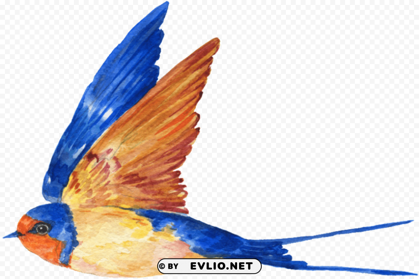 transparent blue bird PNG images with alpha transparency diverse set