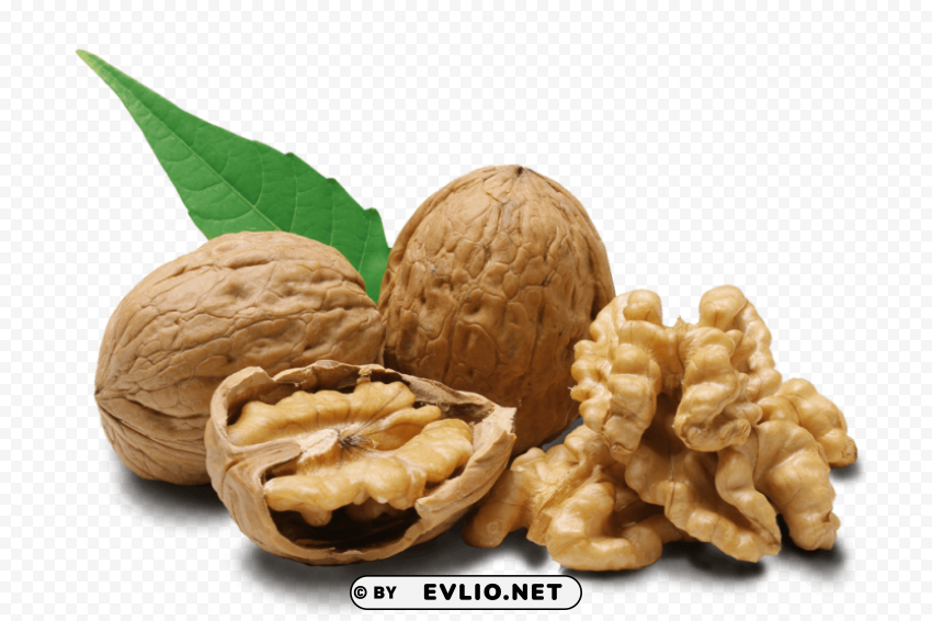 walnut PNG files with no backdrop pack PNG images with transparent backgrounds - Image ID e89d3541