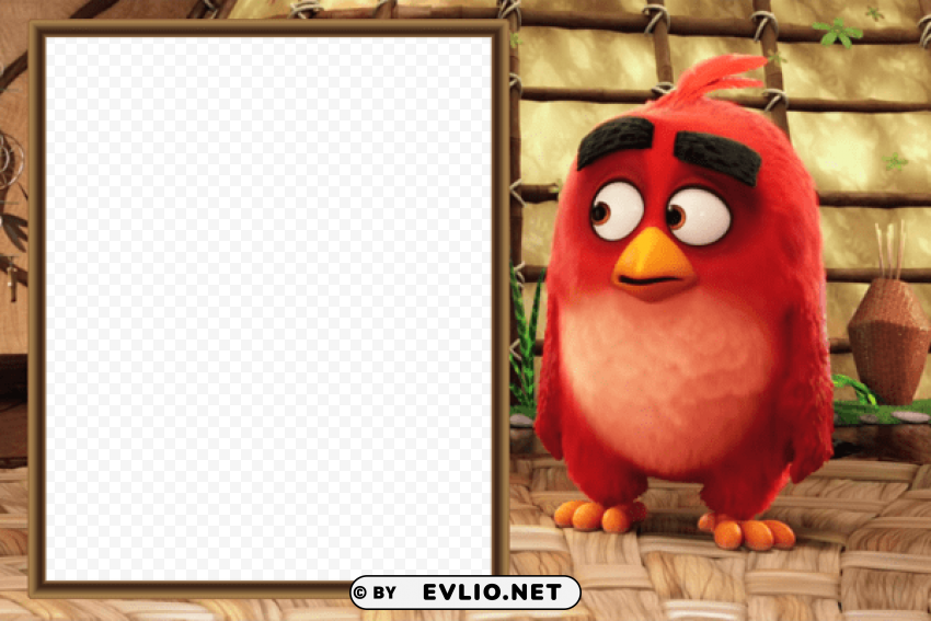angry birds movie kids frame Free PNG download no background