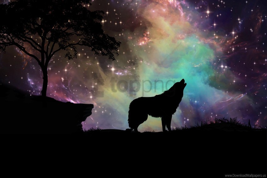 art silhouette starry sky wolf wallpaper Isolated Design Element in Transparent PNG