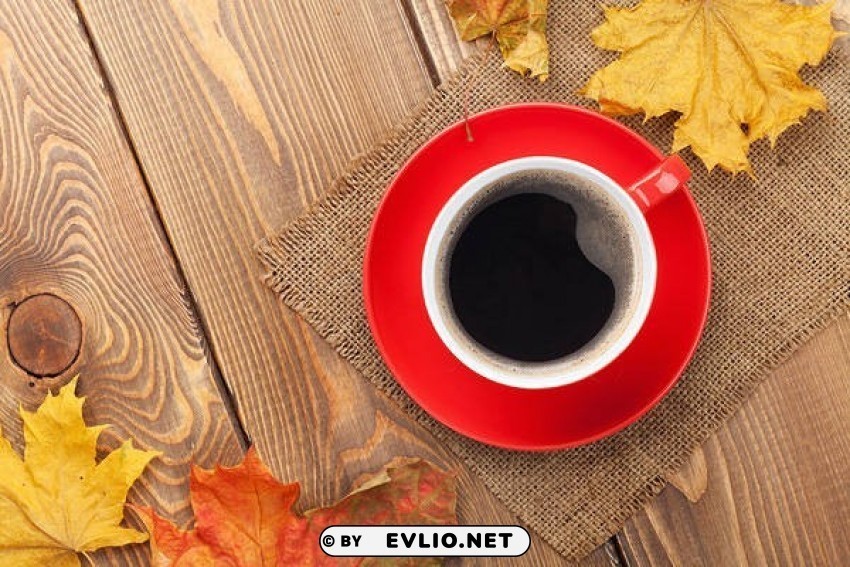 autumnwith cup of coffee Isolated PNG Image with Transparent Background