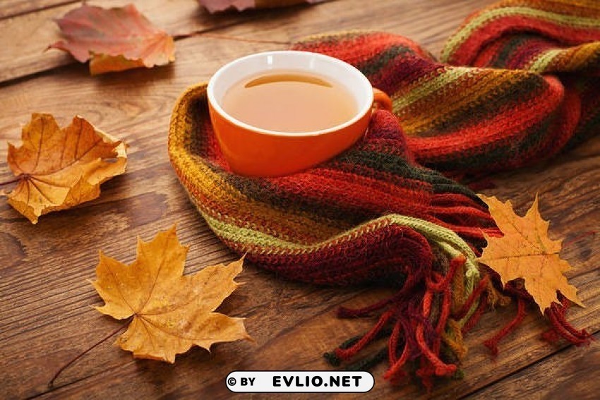 autumnwith cup of coffee and scarf Isolated Subject in Clear Transparent PNG