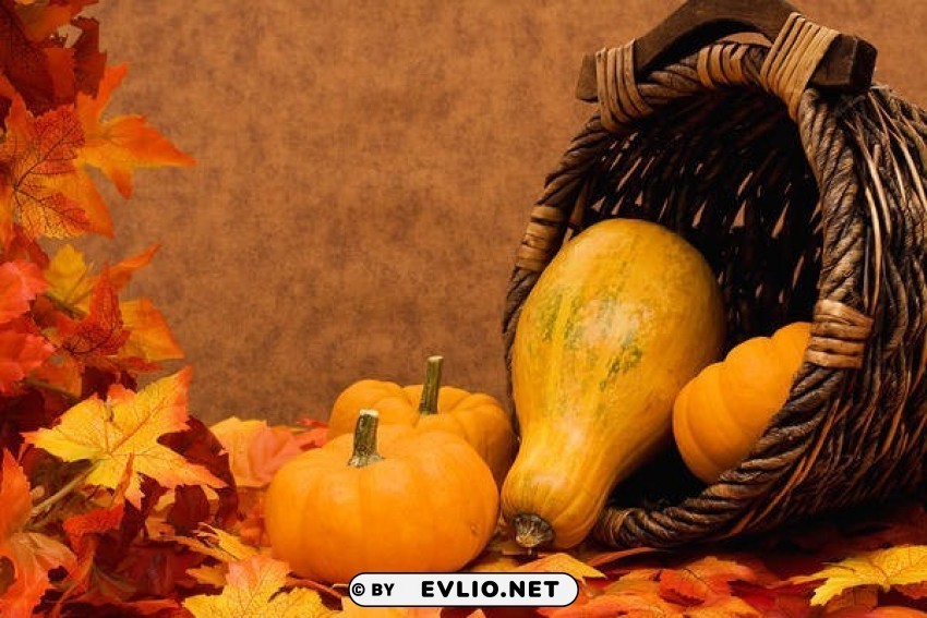 autumnwith pumpkins PNG design elements