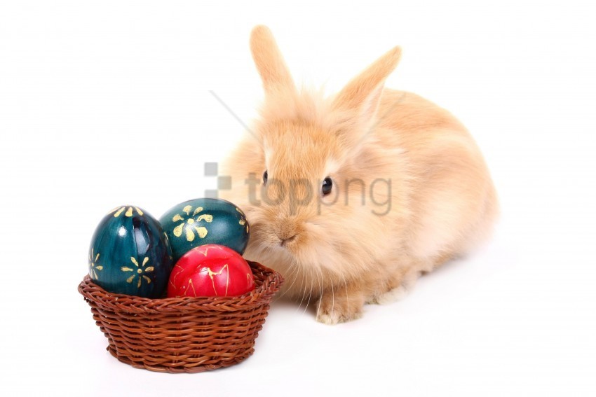 basket eggs paint rabbit white background wallpaper Isolated Item on Clear Transparent PNG