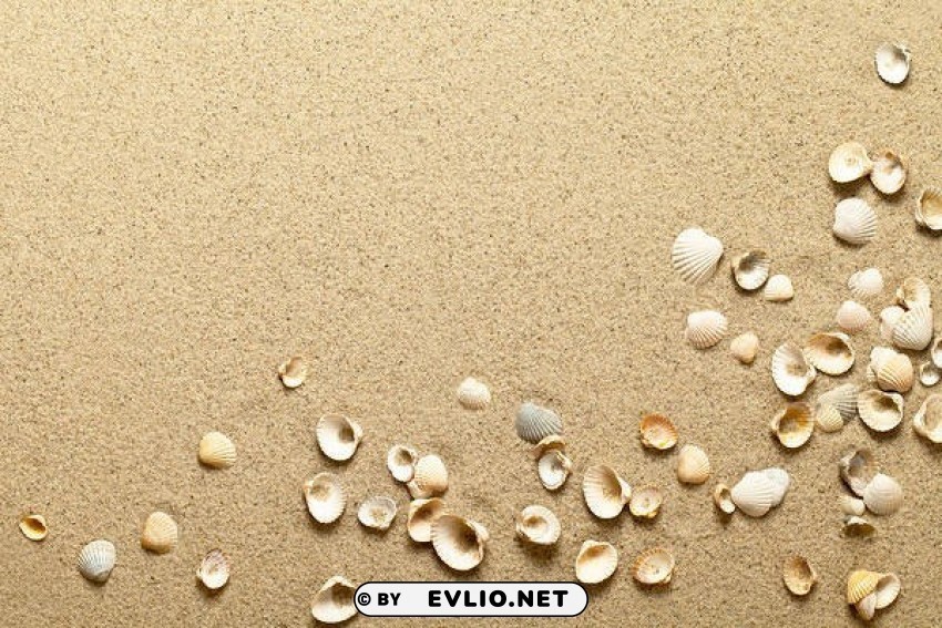 Beach Sand And Shells CleanCut Background Isolated PNG Graphic