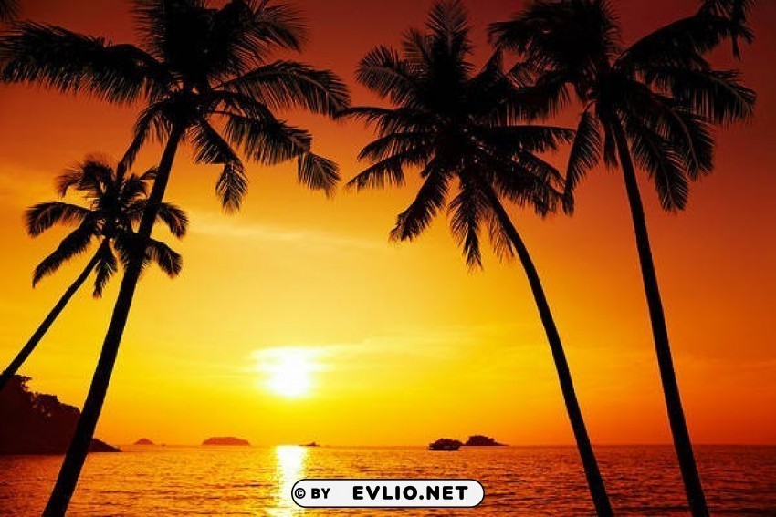 beach sunset HighQuality Transparent PNG Isolated Object