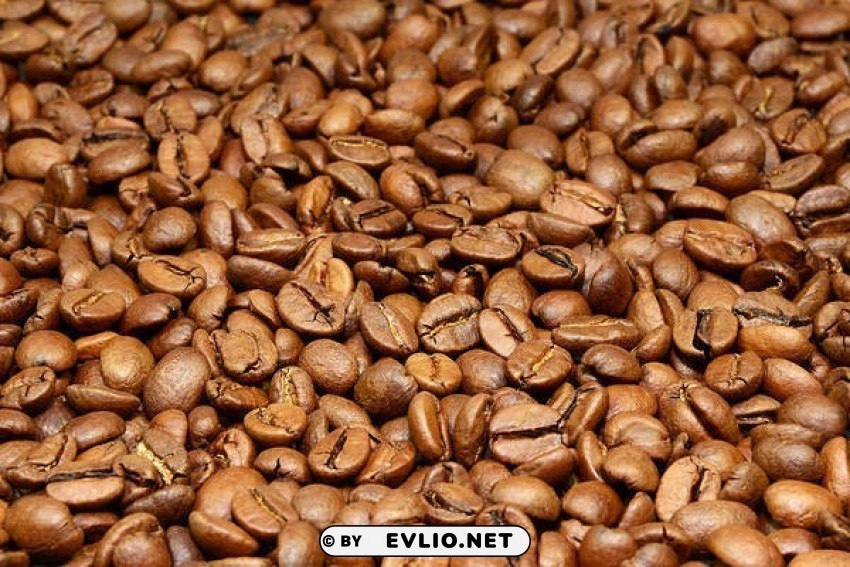 coffee beans PNG Image Isolated with HighQuality Clarity