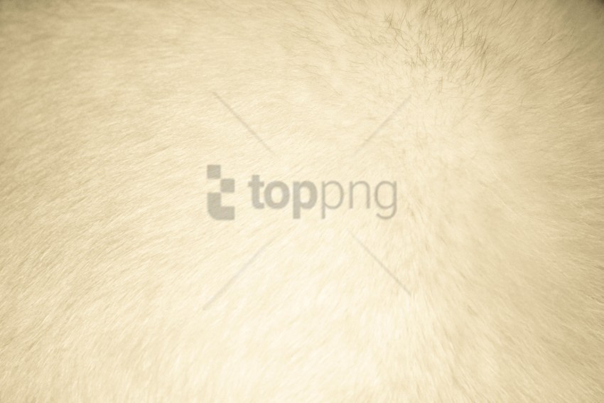 cream background texture Transparent PNG Isolated Item
