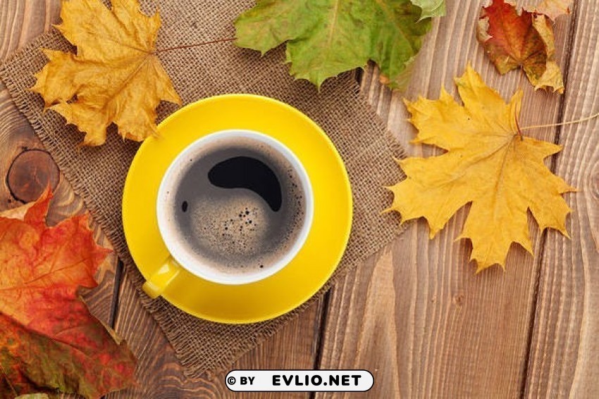 fallwith leaves and cup of coffee Isolated PNG on Transparent Background