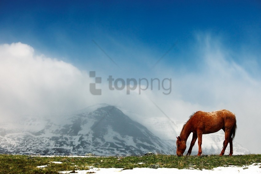 fog horse mountains peaks sky snow walk wallpaper PNG with transparent background free