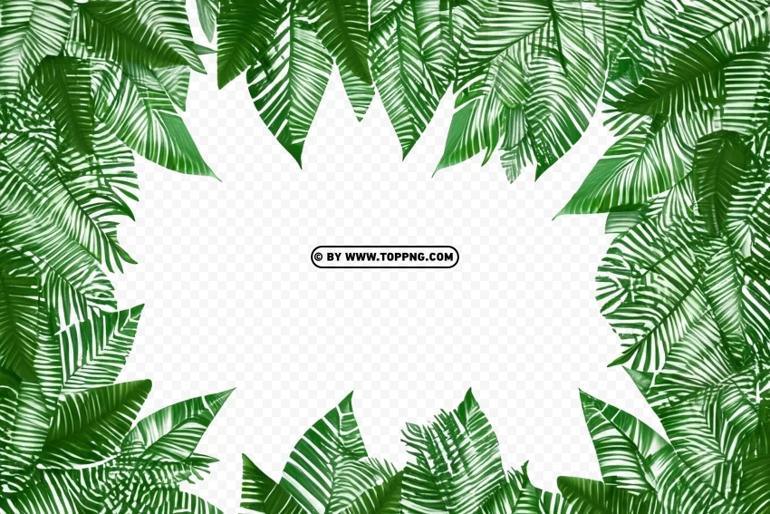 Green Leaf Frame Enhancing Tropical Forest Jungle ClearCut Background PNG Isolated Element