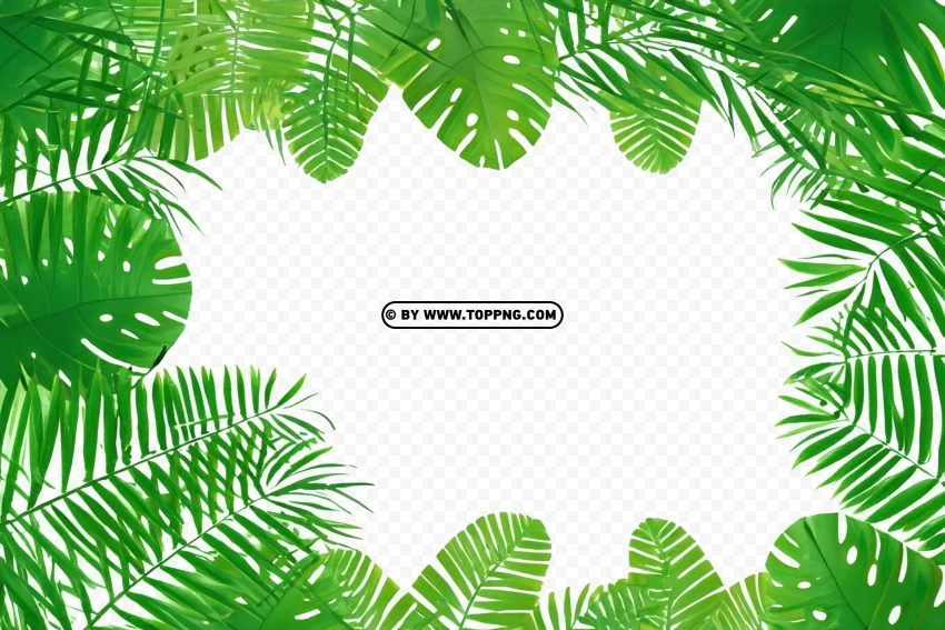 Green Leaf Frame Surrounding Tropical Forest Jungle ClearCut Background PNG Isolated Item