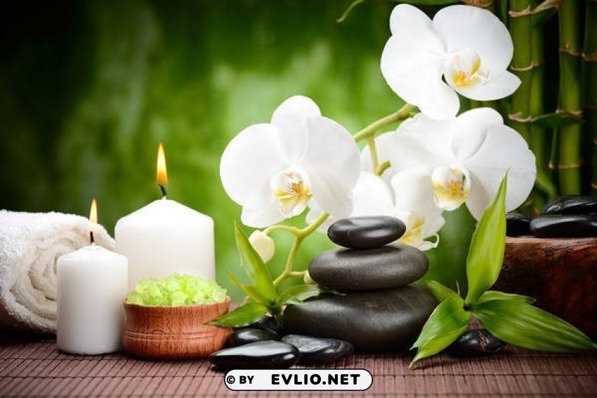 green spawith white orchids Isolated Element with Clear Background PNG