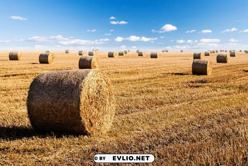 hay bales and sky PNG for Photoshop