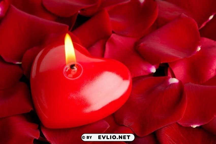 heart candle and rose petals PNG files with no backdrop pack