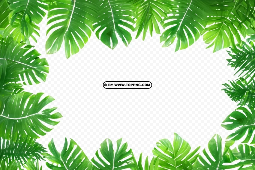 Jungle Background with Green Leaf Frame ClearCut PNG Isolated Graphic