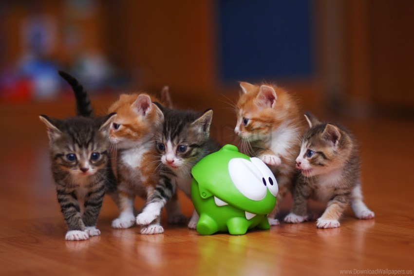 Kittens Om Nom Toy Wallpaper PNG With Isolated Background