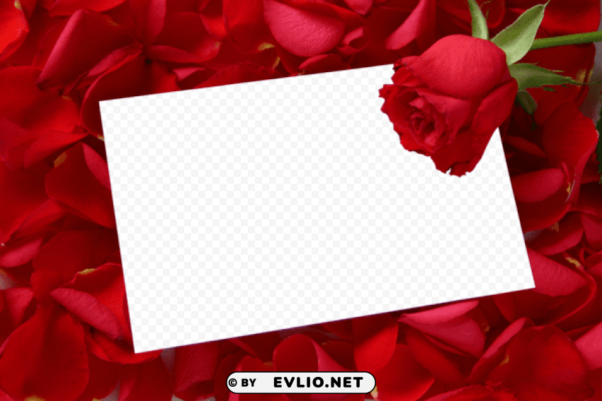 Large Horizontal Frame With Red Roses Transparent PNG Isolated Subject Matter