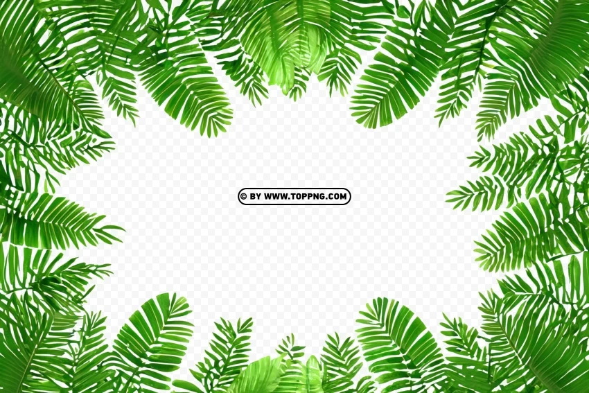 Lush Jungle Background with Leafy Green Frame Free download PNG images with alpha channel