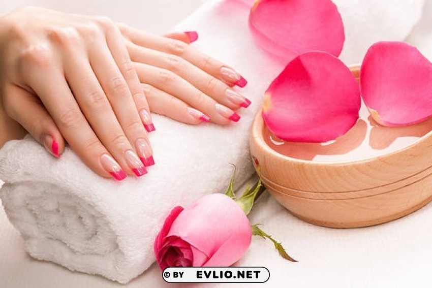 manicure with rose Isolated Illustration on Transparent PNG