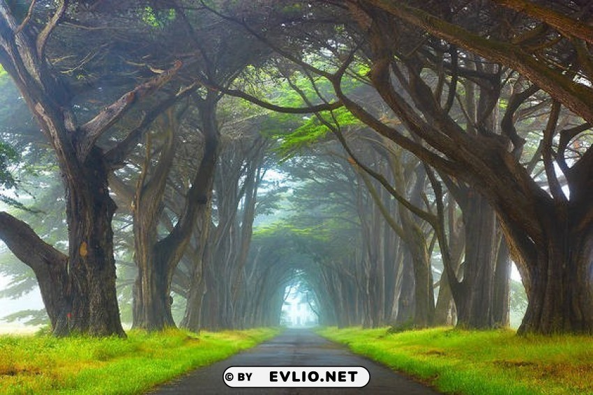 myst point reyes national seashore california wallpaper Transparent PNG Isolated Illustrative Element