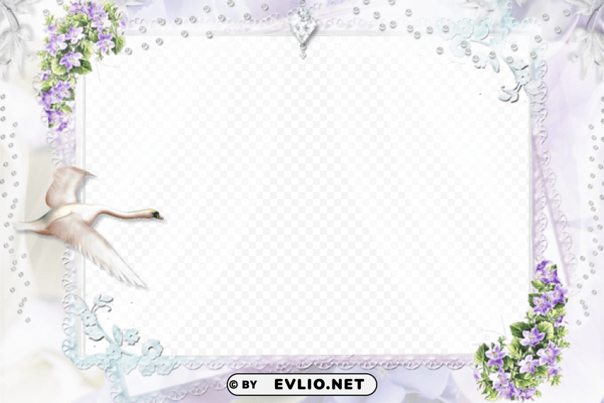 nice and soft frame with white swan PNG for online use
