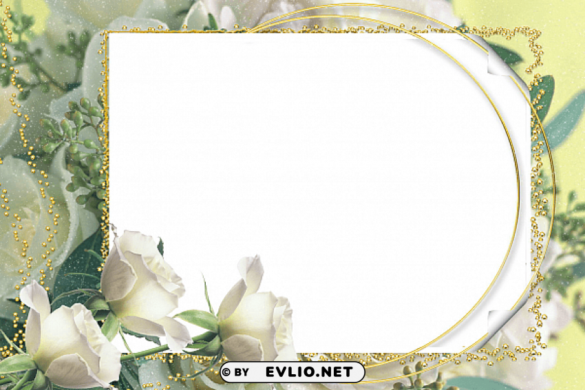 photo frame with roses PNG files with transparent backdrop complete bundle