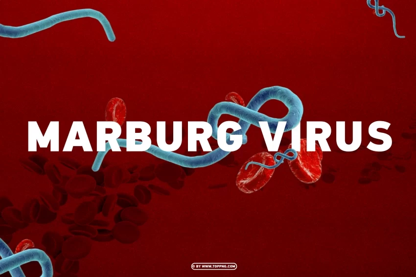 photo of marburg virus on design background PNG images with alpha transparency diverse set