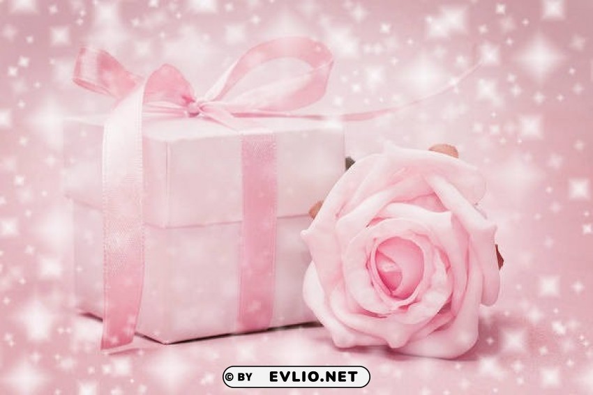 pink gift and delicate rose wallpaper Isolated Artwork on HighQuality Transparent PNG