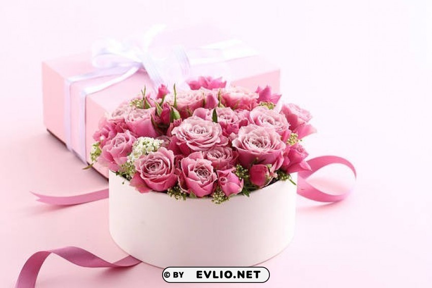 pink roses pink Isolated Object on Transparent PNG