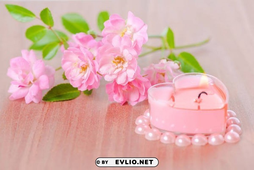pink springwith candle Free PNG images with alpha channel compilation