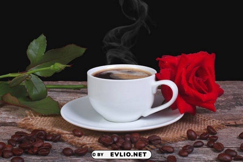 red rose and coffee PNG clear images