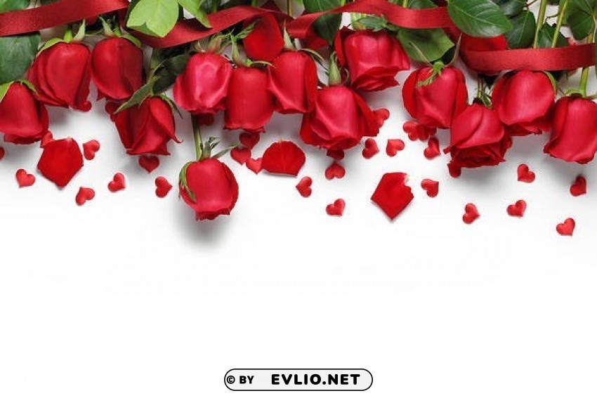 red roses white Isolated Item with Transparent Background PNG