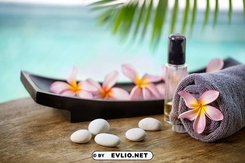sea spa Isolated Element with Transparent PNG Background