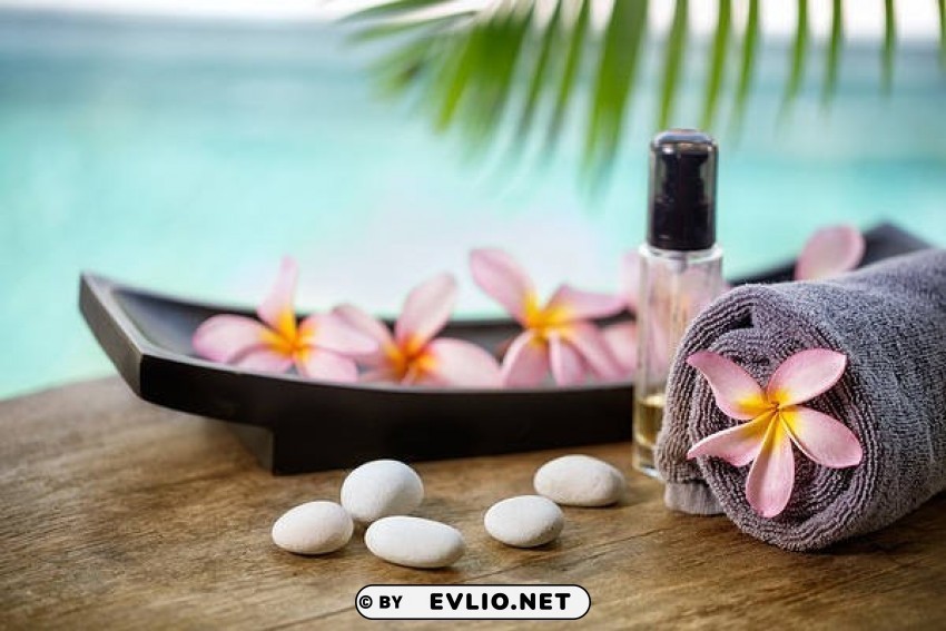 Sea Spa Isolated Element With Transparent PNG Background