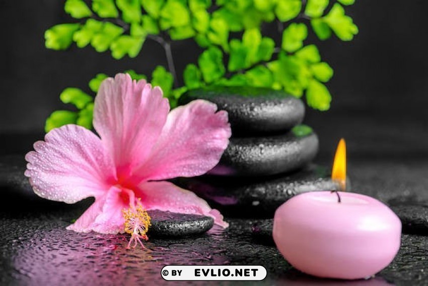 spa decoration Isolated Graphic on Clear Background PNG