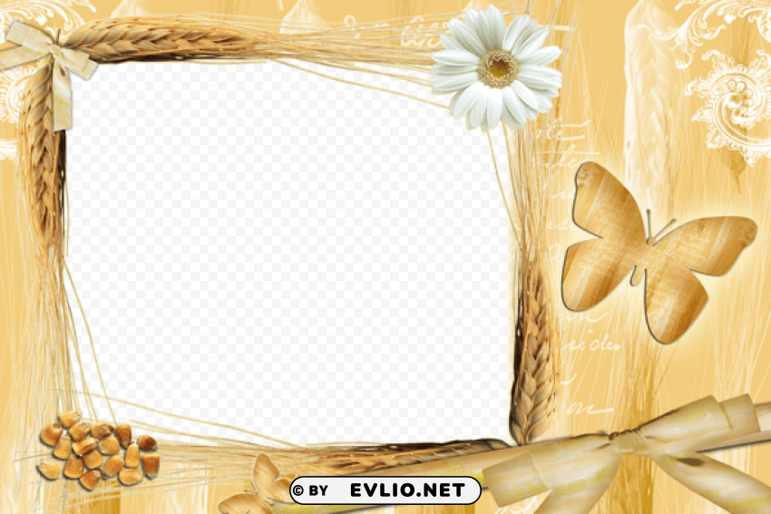  yellow frame with daisy PNG transparent images for websites