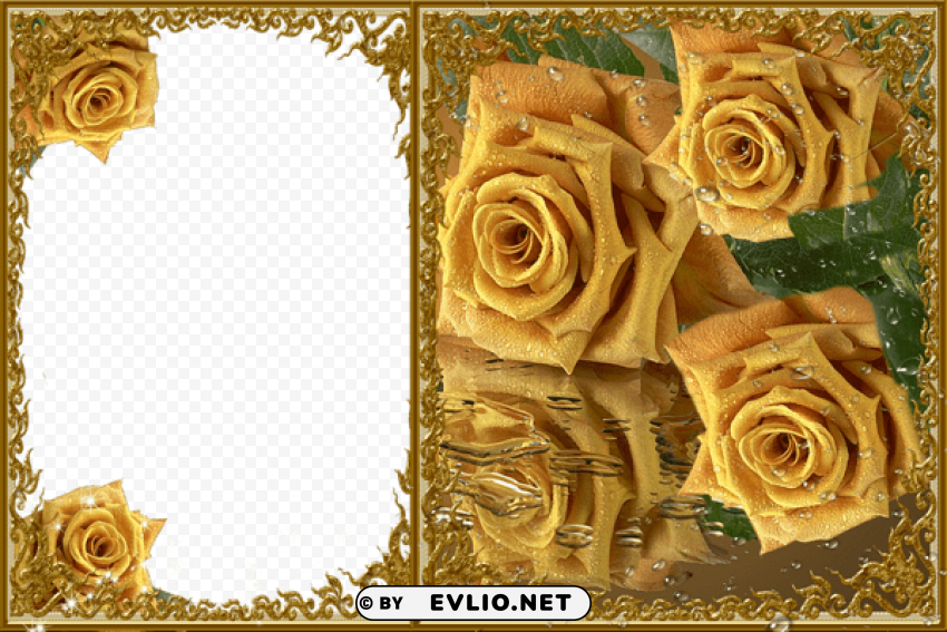 transparent yellow roses frame PNG pictures with no backdrop needed