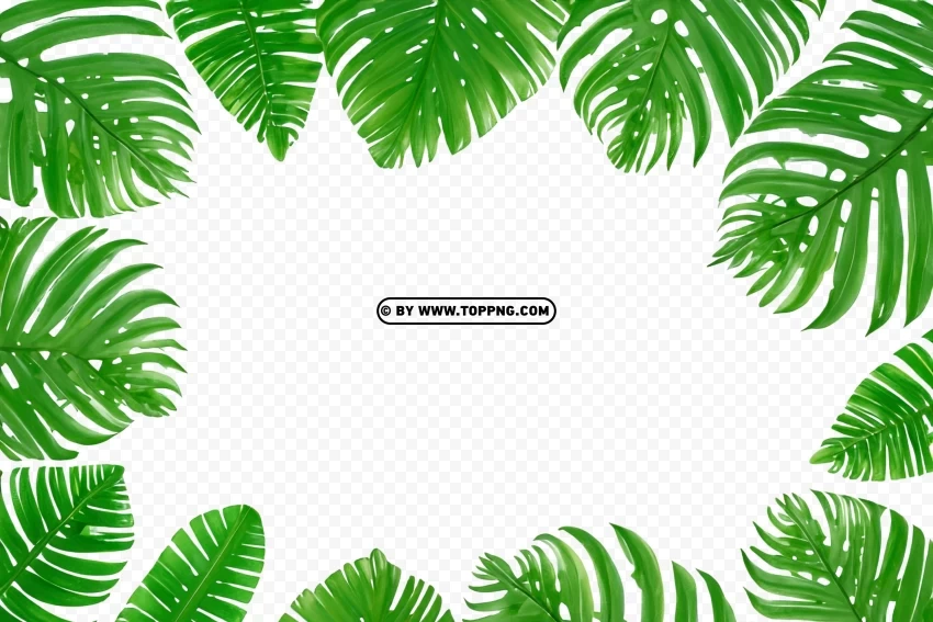 Tropical Forest Jungle Background With Green Leaf Frame Free download PNG images with alpha transparency - Image ID 311dc2d1