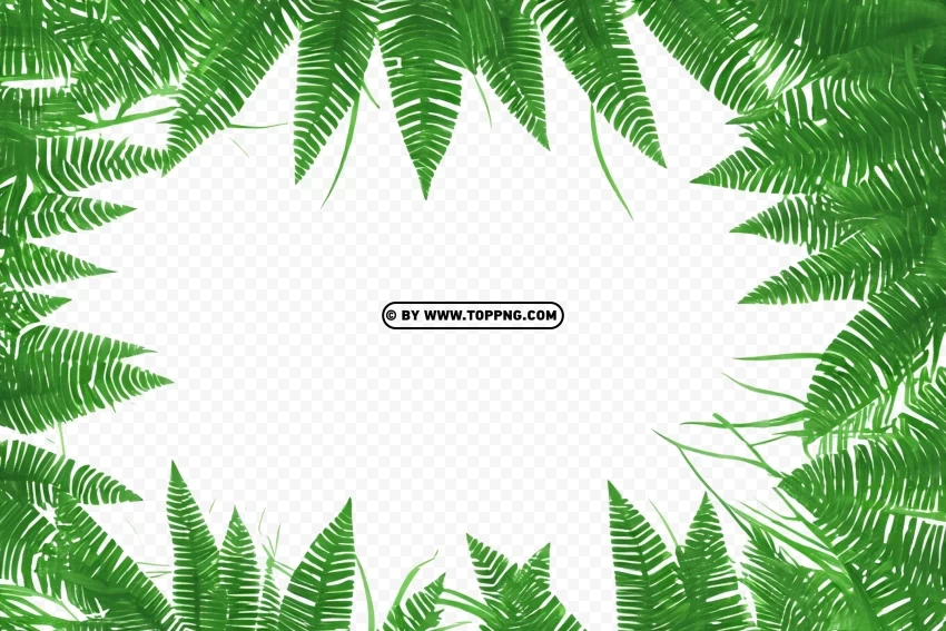 Tropical Forest Scene with Green Leaf Border Free download PNG with alpha channel