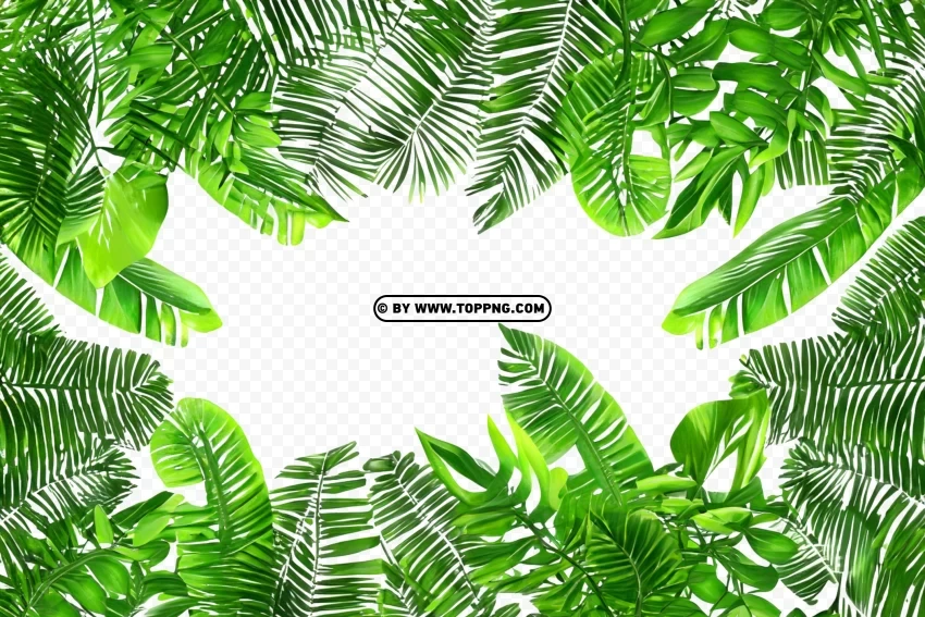 Tropical Paradise Leafy Frame on Forest Jungle Background Free download PNG with alpha channel extensive images