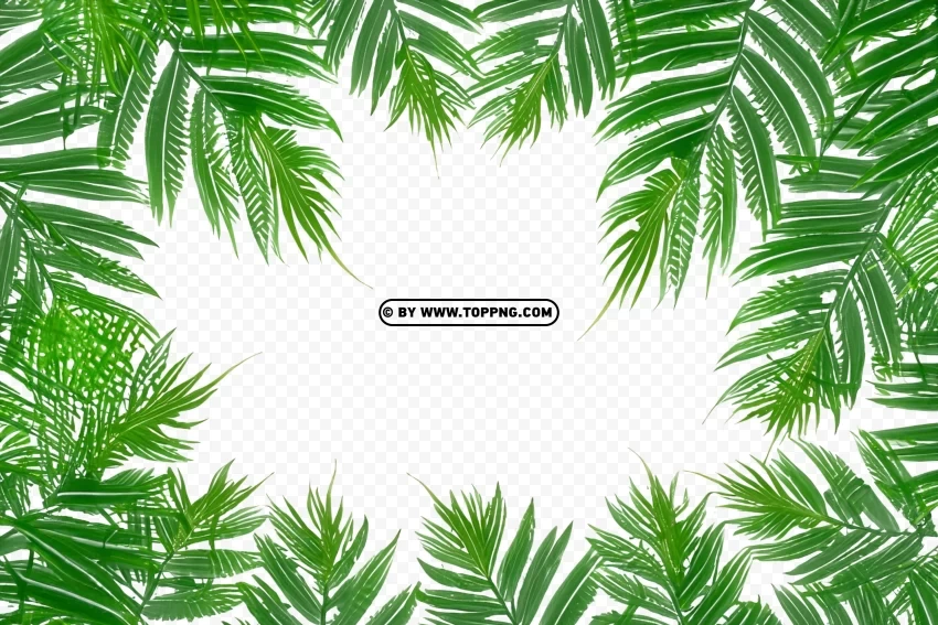 Vibrant Green Leaf Frame on Jungle Background Free PNG - Image ID a8107d61