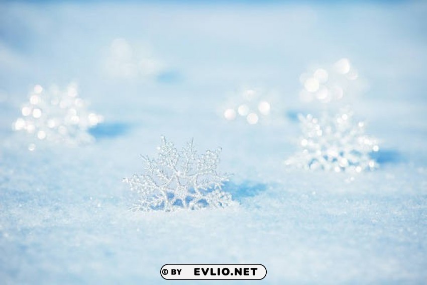 winter deco PNG Isolated Subject with Transparency