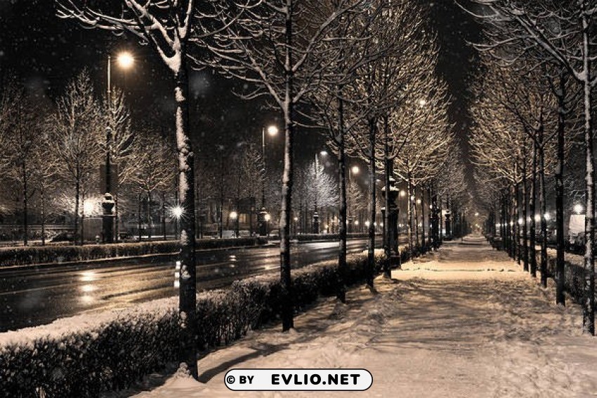 winter snowy night PNG Image with Isolated Transparency