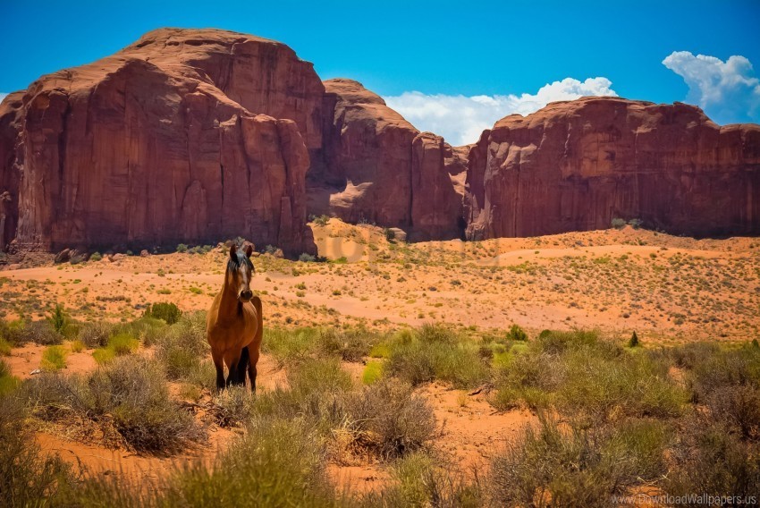 arizona desert horse monument valley usa wild west wallpaper PNG files with no background assortment