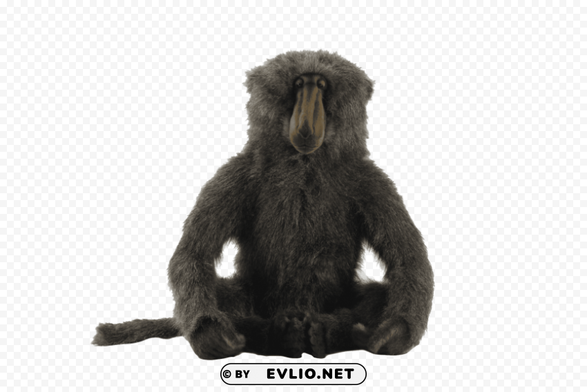baboon pics Transparent Background PNG Isolated Item