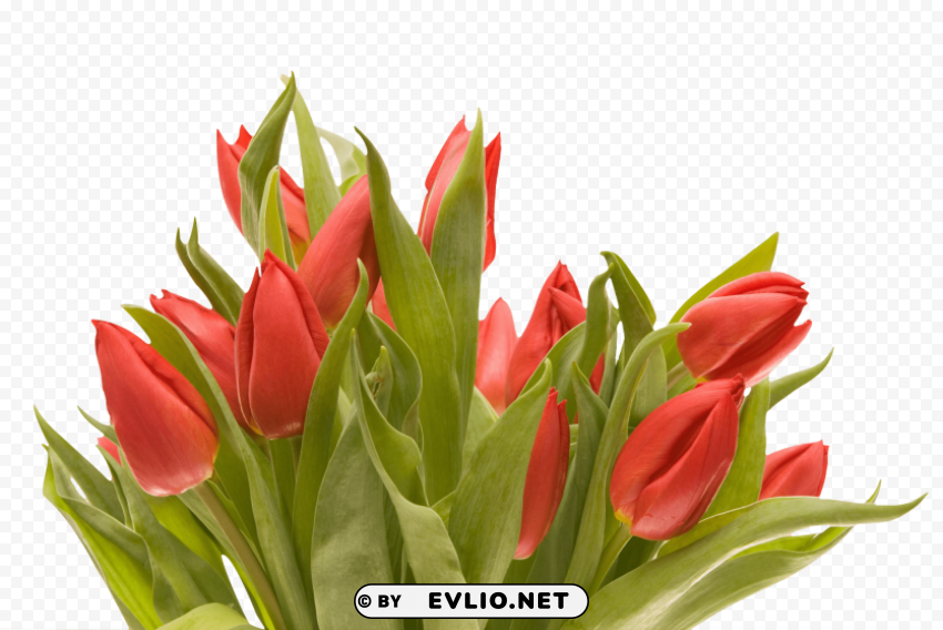 PNG image of bouquet of flowers HighResolution PNG Isolated Artwork with a clear background - Image ID a7aeb3d0