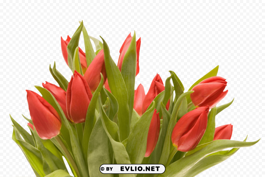 bouquet of flowers HighResolution PNG Isolated Artwork